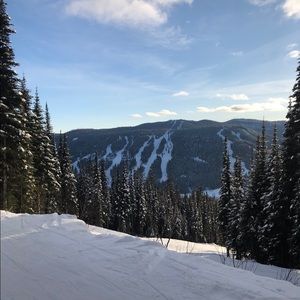 Meet your Posher, Miranda